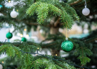 Ein Weihnachtsbaum für Krefeld von der Firma Weihnachtsbaum Platen